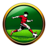 Soccer site icon
